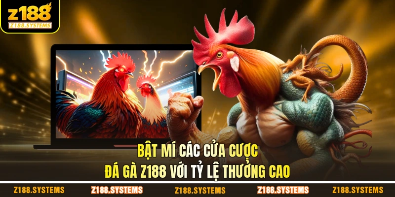 Bật mí các cửa cược đá gà Z188 với tỷ lệ thưởng cao Bật mí các cửa cược đá gà Z188 với tỷ lệ thưởng cao