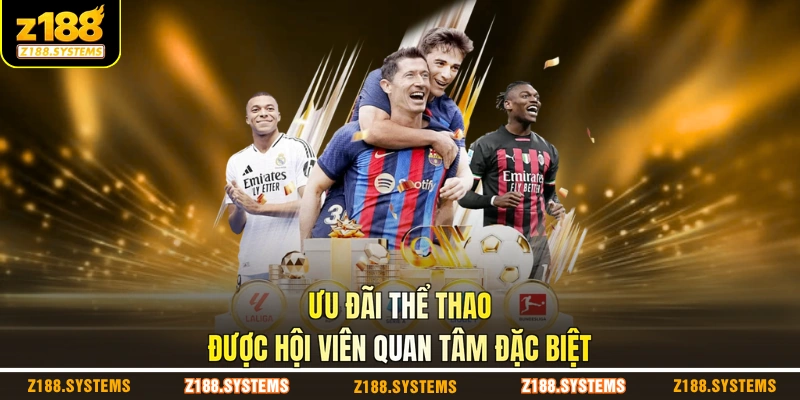 Ưu đãi thể thao được hội viên quan tâm đặc biệt Ưu đãi thể thao được hội viên quan tâm đặc biệt